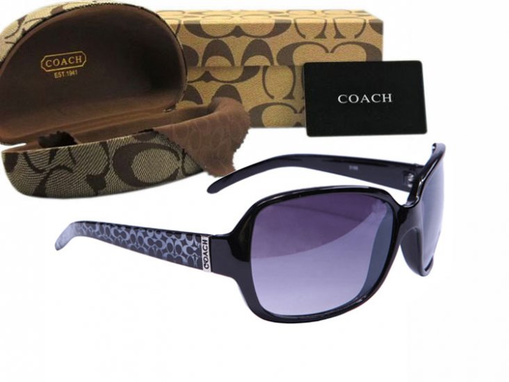 Coach Sunglasses 8009 | Women